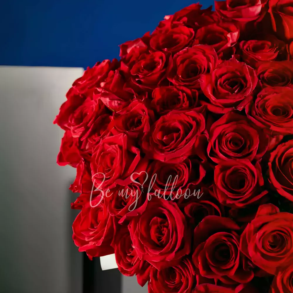300 Red Roses Bouquet x Darcey