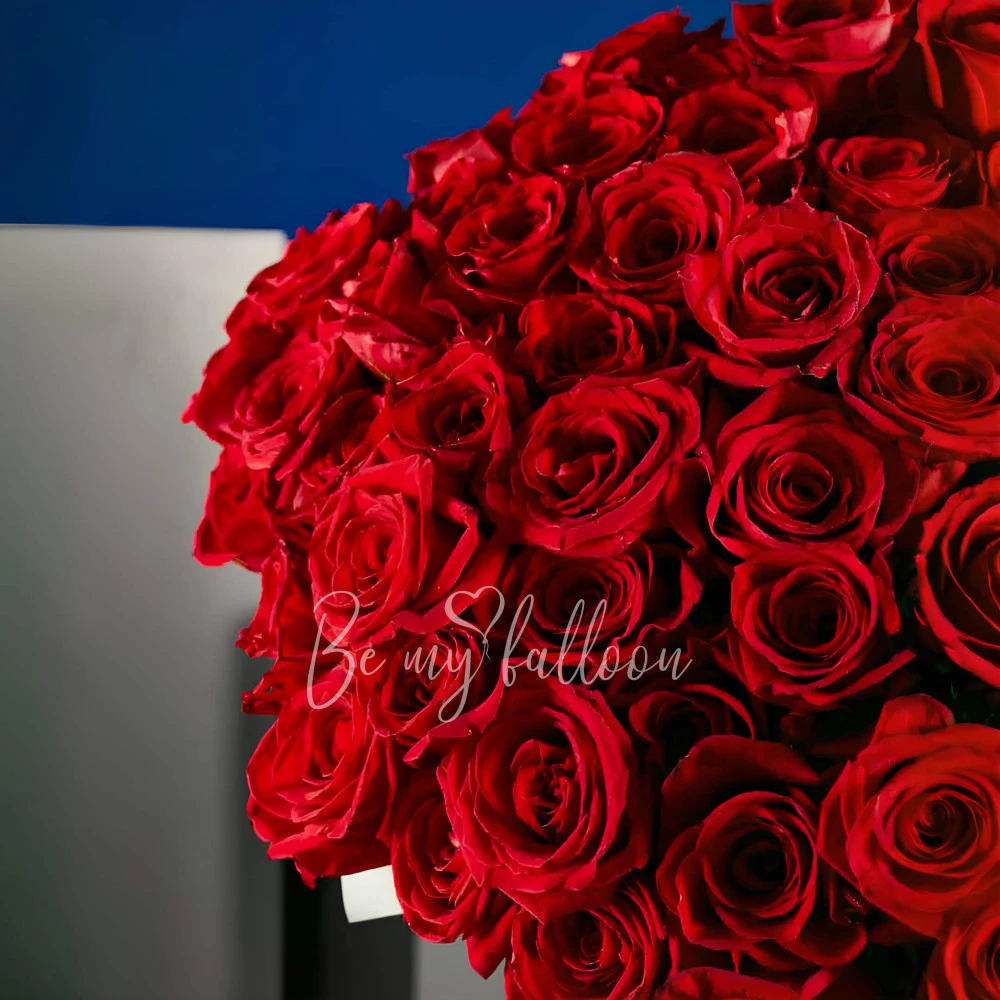 300 Red Roses Bouquet x Darcey