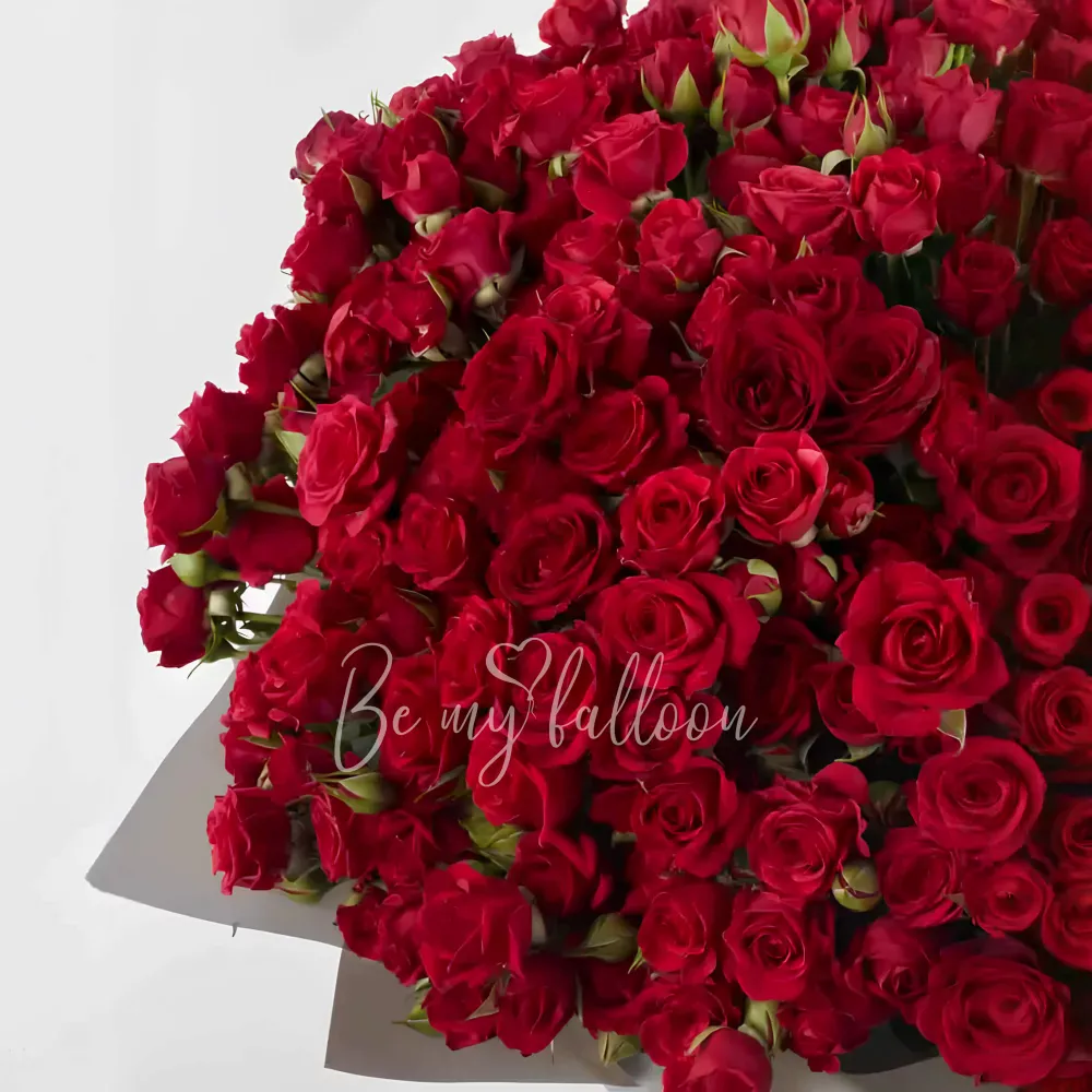 Red Rose Spray Bouquet Superb x Darcey