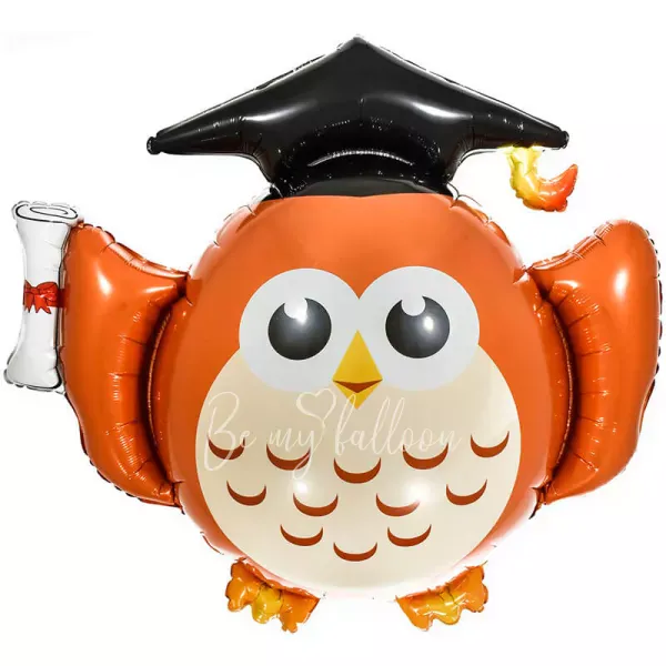 32 " البومة الذكية