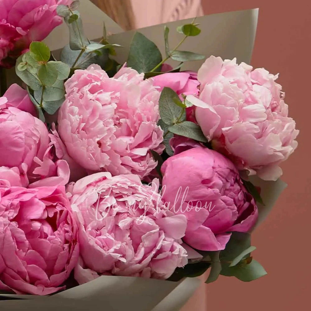 Peony Lover