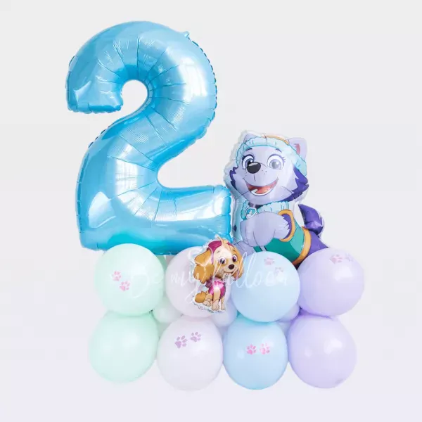 Paw patrol Skye&Everest air-filed birthday balloon composition