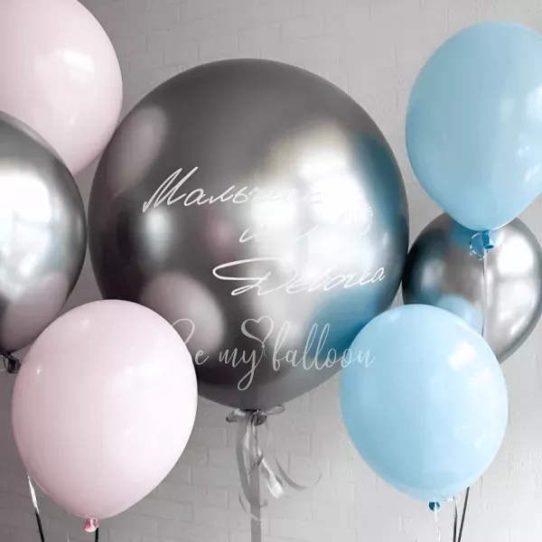 Gentle Giant Gender reveal composition